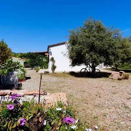 Casa Museddu Sonia Cardedu