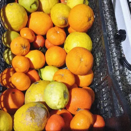 Holiday home Casa Museddu Cardedu