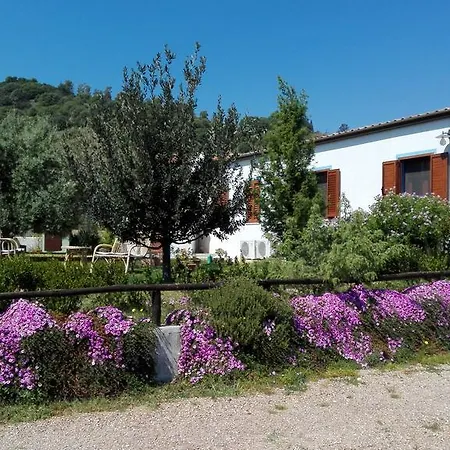 펜션 Casa Museddu *