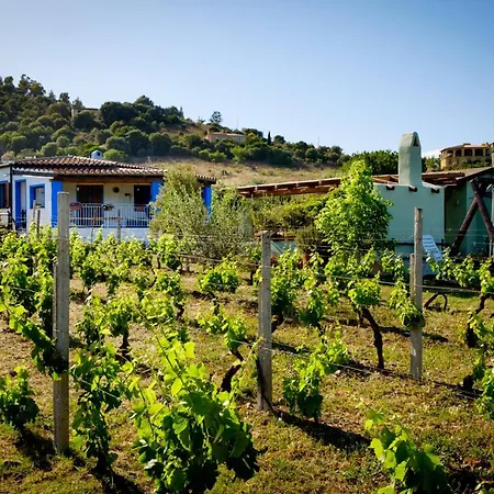 Holiday home Casa Museddu Cardedu