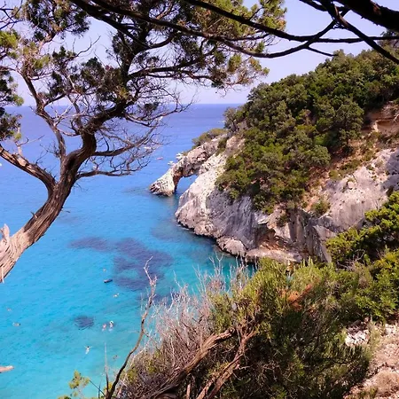 Casa Museddu 펜션 카데두