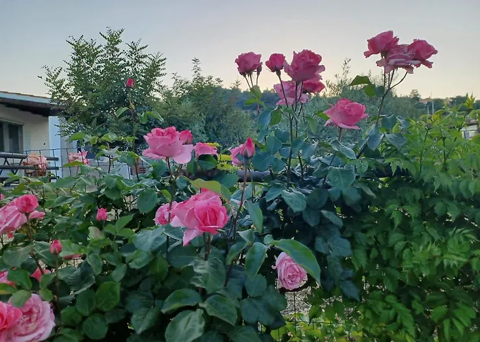 Casa Museddu Holiday home *