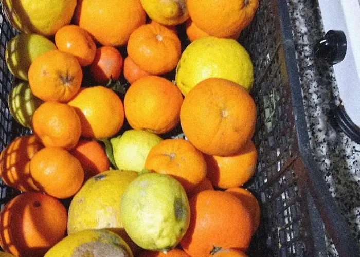 Holiday home Casa Museddu Cardedu