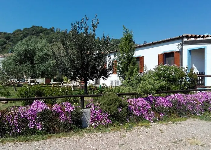 Holiday home Casa Museddu *