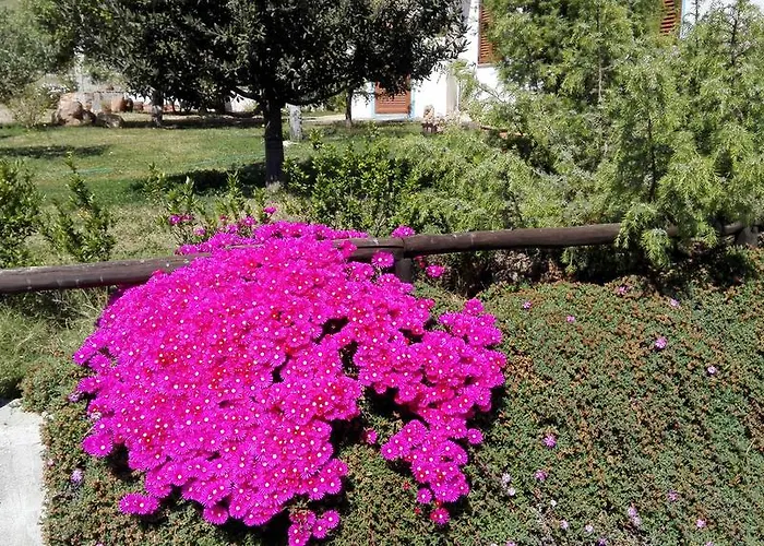 Casa Museddu * Cardedu