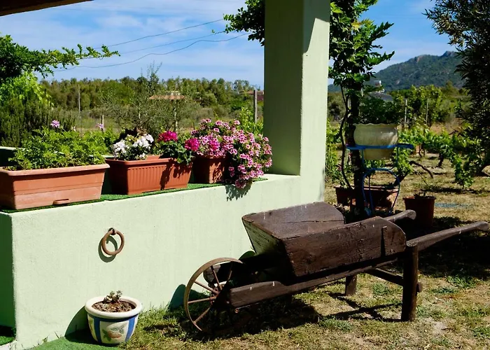 Holiday home Casa Museddu