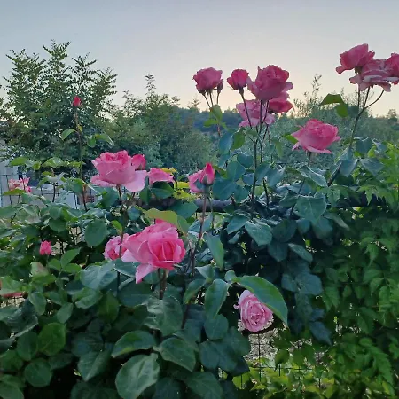 Casa Museddu Hébergement de vacances *