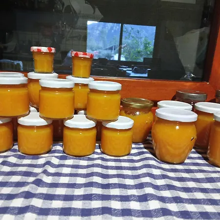 Сasa de vacaciones Casa Museddu Cardedu