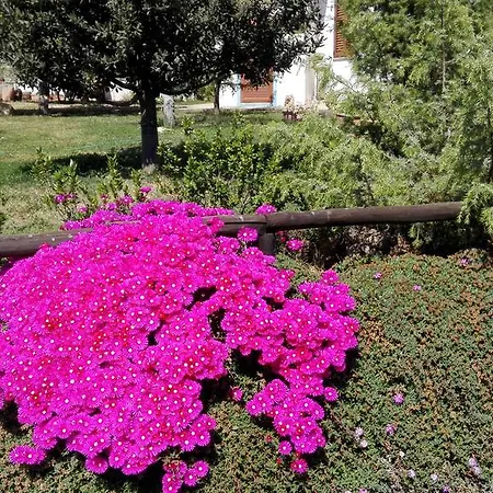 Casa Museddu * Cardedu