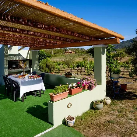 Casa Museddu 別荘 *