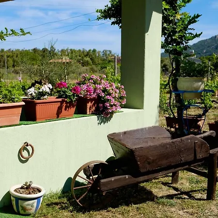 Hébergement de vacances Casa Museddu