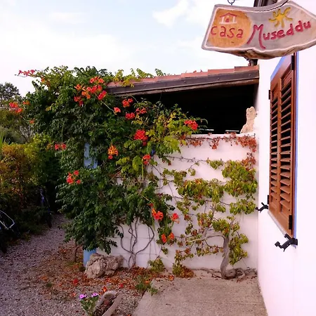 Tatil Evi Casa Museddu Cardedu